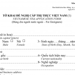 how to fill in the Vietnam entry and exit form