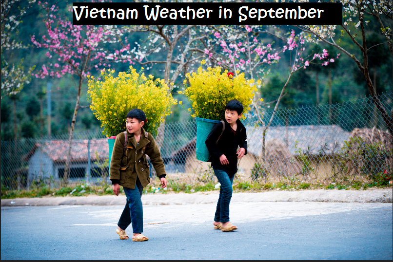 Vietnam weather in September